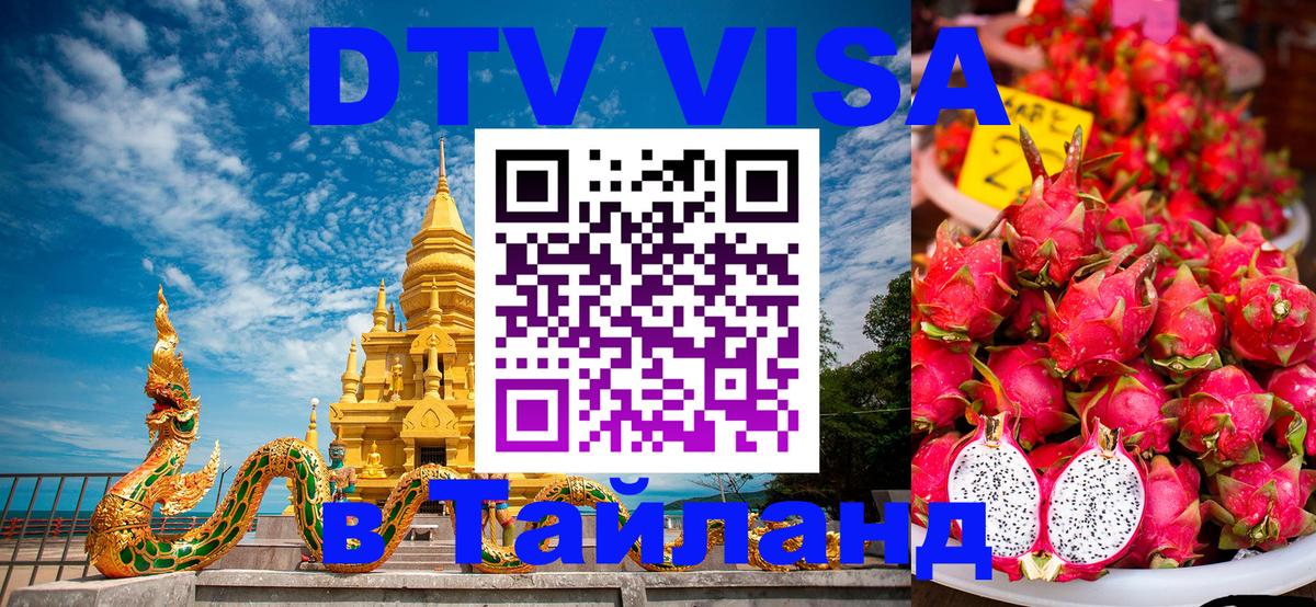 Сколько стоит DTV виза — актуальные цены, оформление даже без документов - Ватикан  20.11.2025 